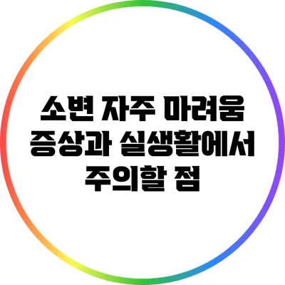 소변 자주 마려움 증상과 실생활에서 주의할 점