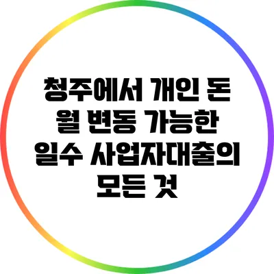 청주에서 개인 돈 월 변동 가능한 일수 사업자대출의 모든 것