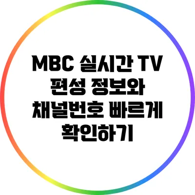 MBC 실시간 TV 편성 정보와 채널번호 빠르게 확인하기