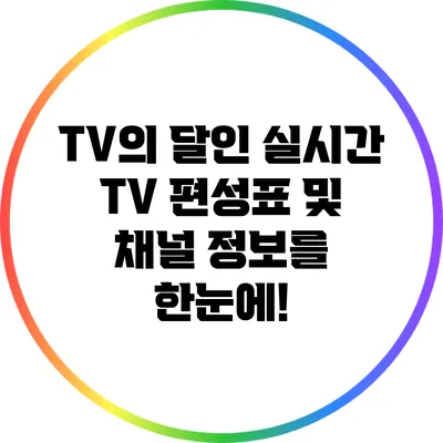TV의 달인: 실시간 TV 편성표 및 채널 정보를 한눈에!