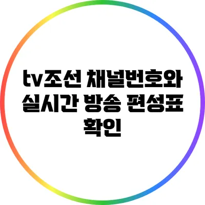 tv조선 채널번호와 실시간 방송 편성표 확인