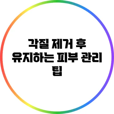 각질 제거 후 유지하는 피부 관리 팁