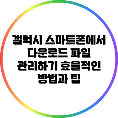 갤럭시 스마트폰에서 다운로드 파일 관리하기: 효율적인 방법과 팁