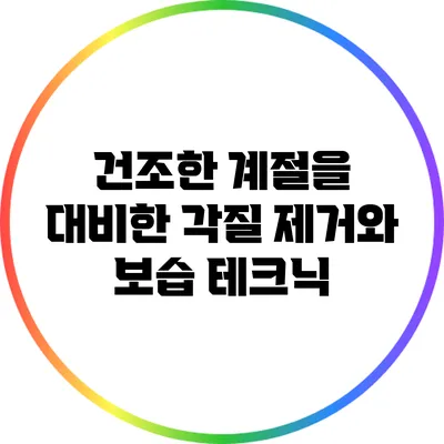 건조한 계절을 대비한 각질 제거와 보습 테크닉