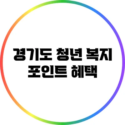 경기도 청년 복지 포인트 혜택