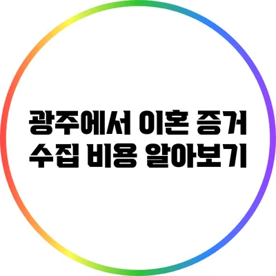 광주에서 이혼 증거 수집 비용 알아보기