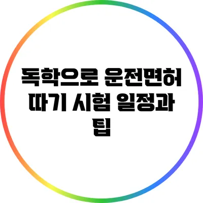 독학으로 운전면허 따기: 시험 일정과 팁