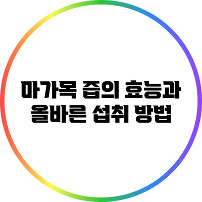 마가목 즙의 효능과 올바른 섭취 방법
