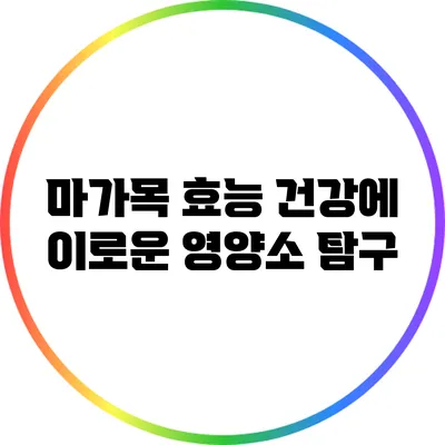 마가목 효능: 건강에 이로운 영양소 탐구