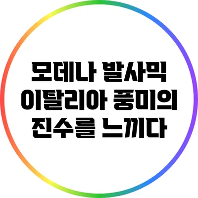 모데나 발사믹: 이탈리아 풍미의 진수를 느끼다