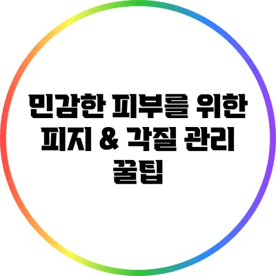 민감한 피부를 위한 피지 & 각질 관리 꿀팁