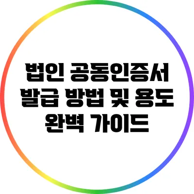법인 공동인증서 발급 방법 및 용도 완벽 가이드