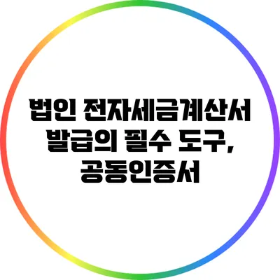 법인 전자세금계산서 발급의 필수 도구, 공동인증서