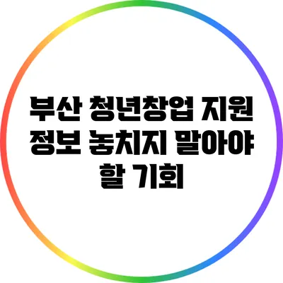 부산 청년창업 지원 정보: 놓치지 말아야 할 기회