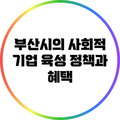 부산시의 사회적 기업 육성 정책과 혜택