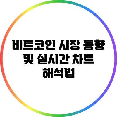 비트코인 시장 동향 및 실시간 차트 해석법
