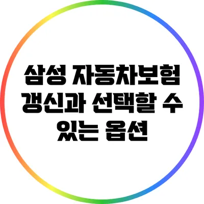 삼성 자동차보험 갱신과 선택할 수 있는 옵션