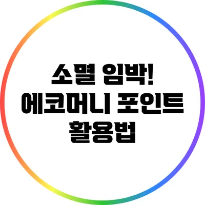 소멸 임박! 에코머니 포인트 활용법