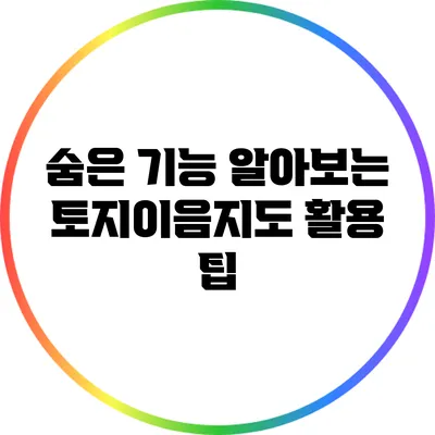 숨은 기능 알아보는 토지이음지도 활용 팁