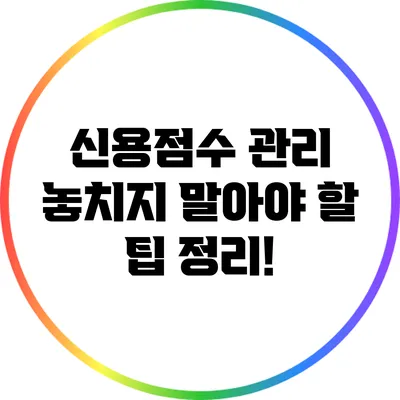 신용점수 관리: 놓치지 말아야 할 팁 정리!