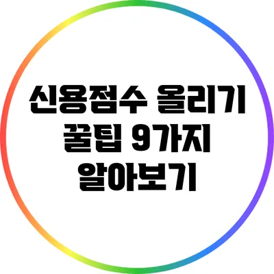 신용점수 올리기 꿀팁 9가지 알아보기