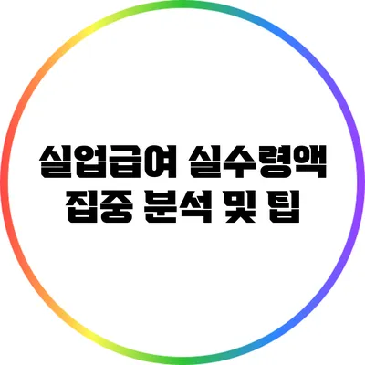 실업급여 실수령액: 집중 분석 및 팁