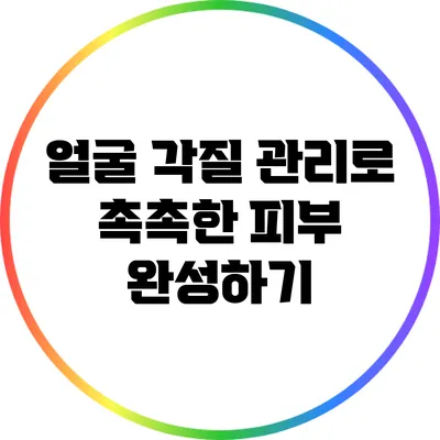얼굴 각질 관리로 촉촉한 피부 완성하기