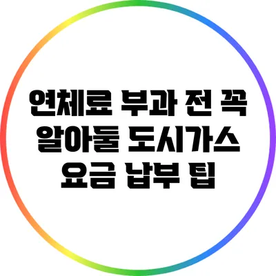 연체료 부과 전 꼭 알아둘 도시가스 요금 납부 팁