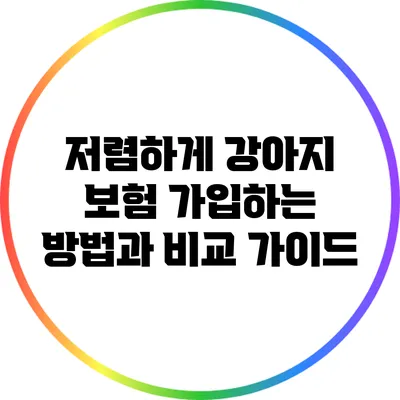 저렴하게 강아지 보험 가입하는 방법과 비교 가이드