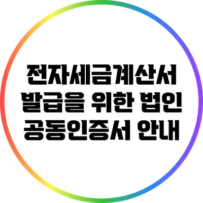 전자세금계산서 발급을 위한 법인 공동인증서 안내