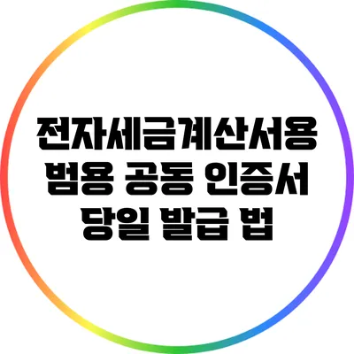 전자세금계산서용 범용 공동 인증서 당일 발급 법