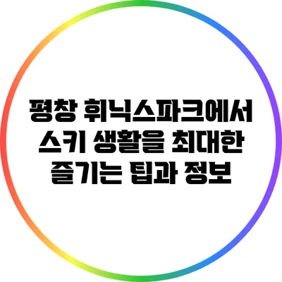 평창 휘닉스파크에서 스키 생활을 최대한 즐기는 팁과 정보