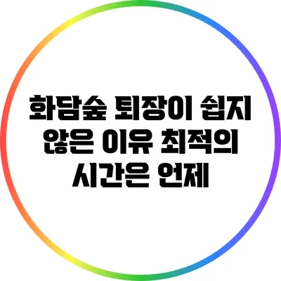 화담숲 퇴장이 쉽지 않은 이유? 최적의 시간은 언제?
