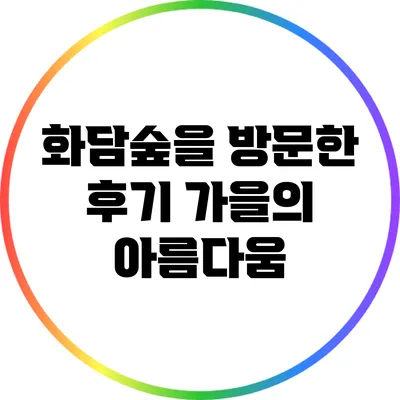 화담숲을 방문한 후기: 가을의 아름다움