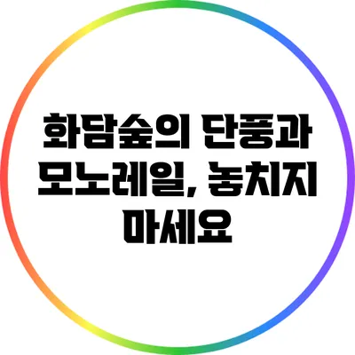 화담숲의 단풍과 모노레일, 놓치지 마세요