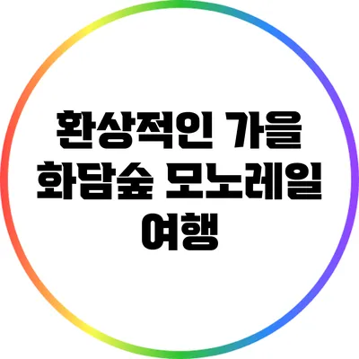 환상적인 가을 화담숲 모노레일 여행