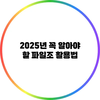 2025년 꼭 알아야 할 파일조 활용법