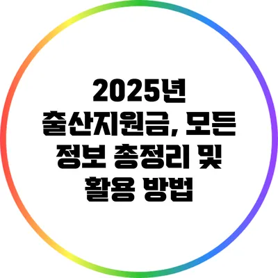 2025년 출산지원금, 모든 정보 총정리 및 활용 방법