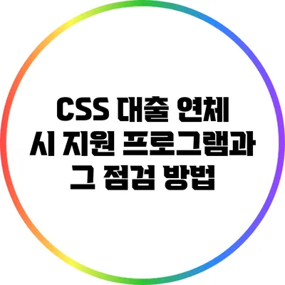 CSS 대출 연체 시 지원 프로그램과 그 점검 방법