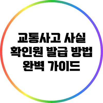 교통사고 사실 확인원 발급 방법 완벽 가이드
