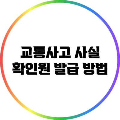 교통사고 사실 확인원 발급 방법