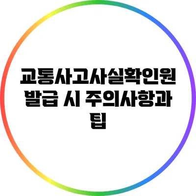 교통사고사실확인원 발급 시 주의사항과 팁