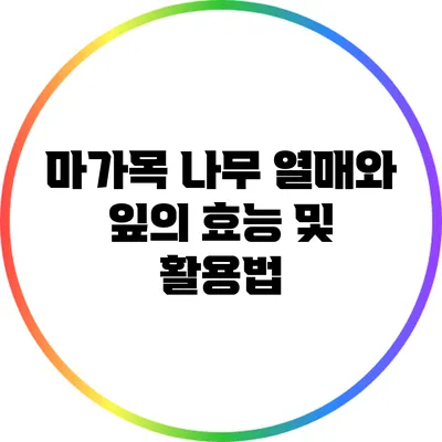마가목 나무 열매와 잎의 효능 및 활용법
