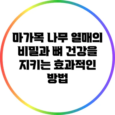 마가목 나무 열매의 비밀과 뼈 건강을 지키는 효과적인 방법