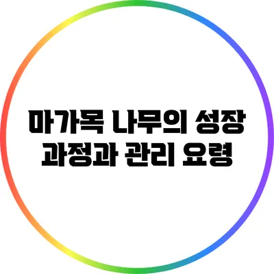마가목 나무의 성장 과정과 관리 요령