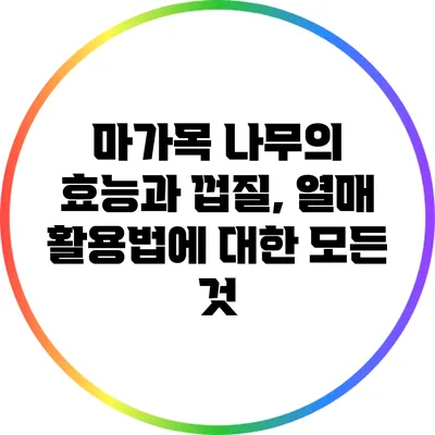 마가목 나무의 효능과 껍질, 열매 활용법에 대한 모든 것
