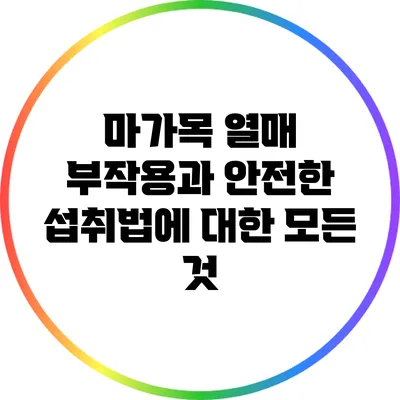 마가목 열매: 부작용과 안전한 섭취법에 대한 모든 것