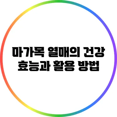 마가목 열매의 건강 효능과 활용 방법