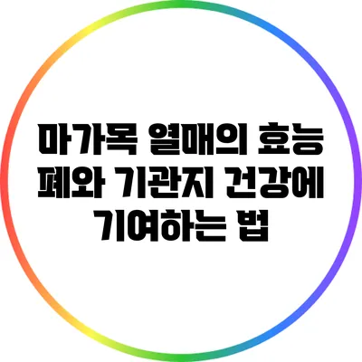 마가목 열매의 효능: 폐와 기관지 건강에 기여하는 법