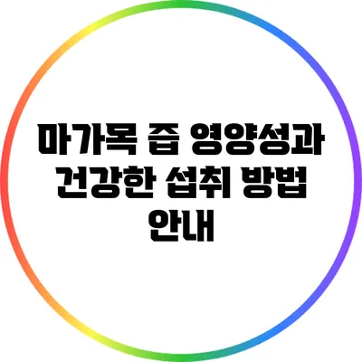 마가목 즙: 영양성과 건강한 섭취 방법 안내